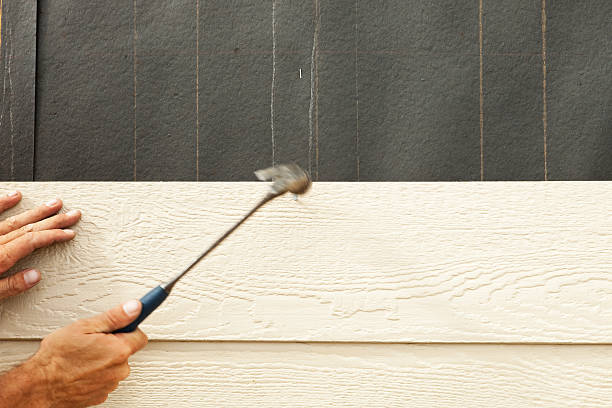 Best Siding for Multi-Family Homes  in Catlin, IL